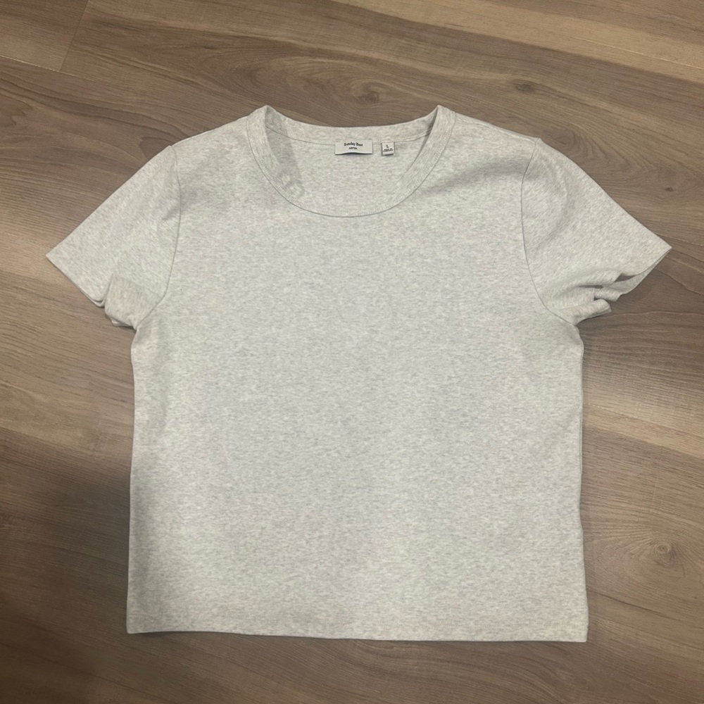 Aritzia Gray Short Sleeve Tee